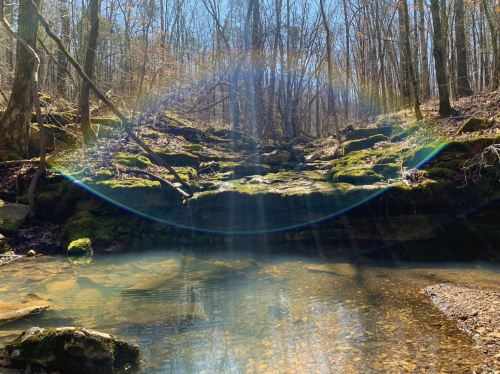 A serene forest scene with a clear stream, moss-covered rocks, and sunlight creating a rainbow effect in the background.