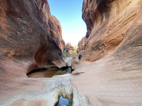 A narrow canyon with smooth, reddish rock walls and a small pool of water, with a person walking along the edge.