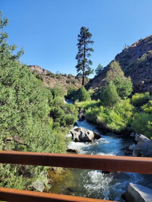 A serene river flows through a lush green landscape, framed by rocky hills and a tall pine tree under a clear blue sky.