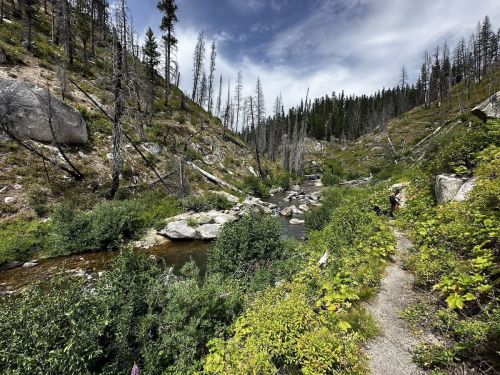 A serene landscape featuring a winding creek surrounded by lush greenery and rocky terrain under a cloudy sky.