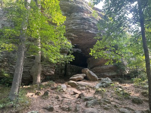 A rocky cave entrance surrounded by lush green trees and scattered boulders on the forest floor.