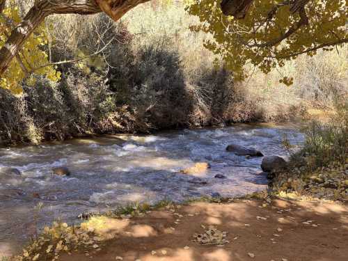 A serene river flows through a wooded area, surrounded by autumn leaves and rocky banks.