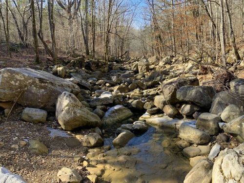 A rocky stream bed surrounded by trees, with clear water flowing among large stones under a blue sky.