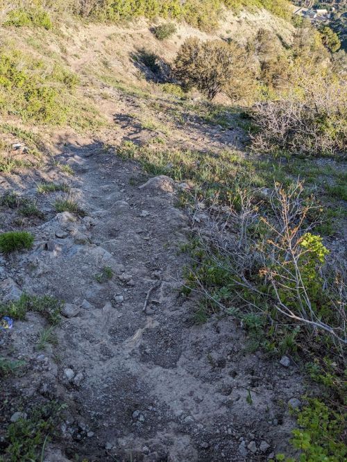 A narrow dirt path winding through a grassy hillside with sparse vegetation and rocky terrain.