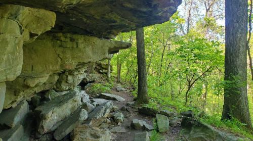 A rocky overhang in a lush green forest, with trees and a dirt path visible.