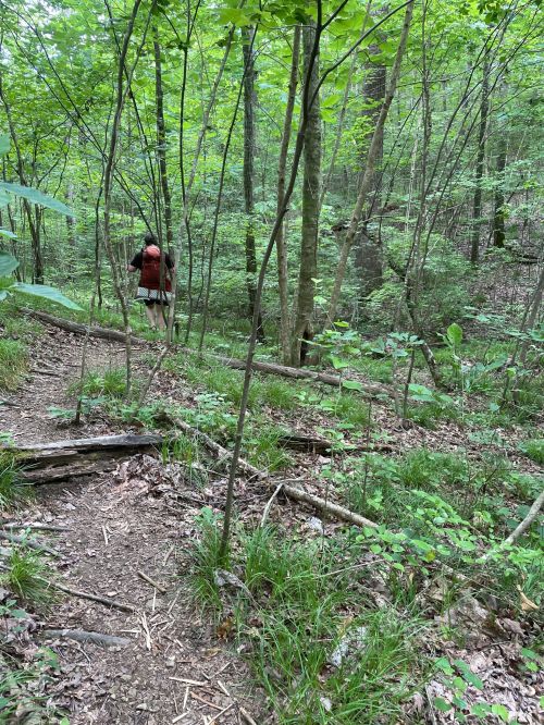 A person with a backpack walks along a wooded trail surrounded by lush green foliage and trees.