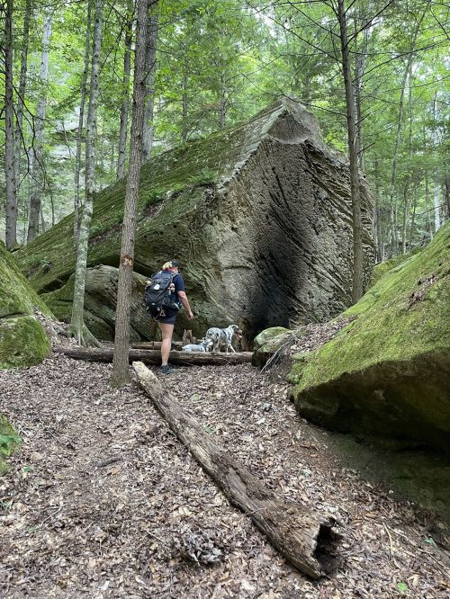 A person walks through a forested area near a large rock formation, accompanied by a dog.
