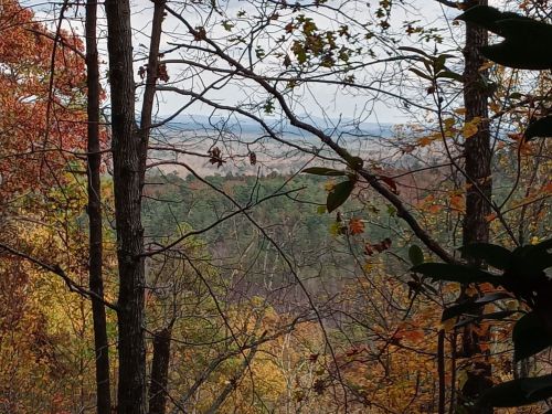 A scenic view of a forest with colorful autumn leaves and distant hills under a cloudy sky.