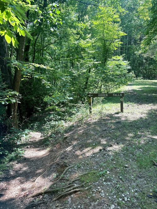 A wooden sign reading "Hidden Falls" stands at the edge of a forested path surrounded by lush greenery.