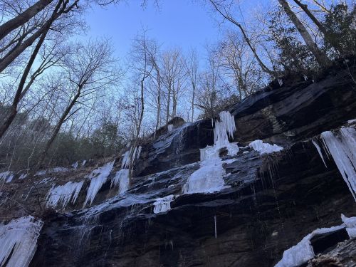 Icicles hang from a rocky cliff, surrounded by bare trees against a clear blue sky.