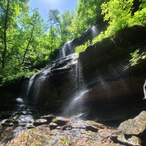 A serene waterfall cascading over rocky terrain, surrounded by lush green trees under a clear blue sky.