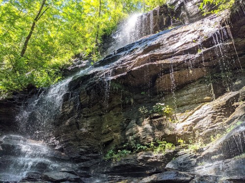A cascading waterfall flows down a rocky cliff, surrounded by lush green trees and sunlight filtering through the leaves.