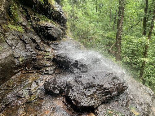 A small waterfall cascades over rocky terrain in a lush green forest.