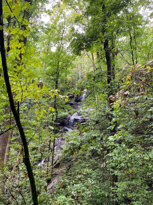 A serene waterfall cascades through lush green trees in a dense forest.