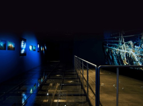 A dimly lit gallery with blue walls, featuring underwater images and a glass floor reflecting the artwork.