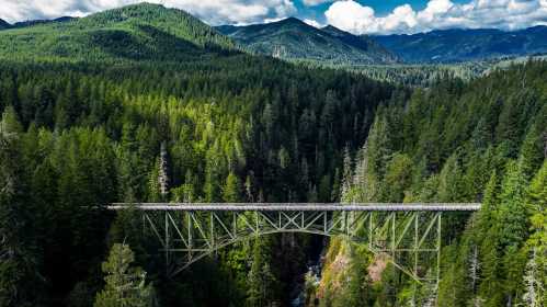 Aerial view of a green forested landscape with a bridge spanning a deep canyon and mountains in the background.