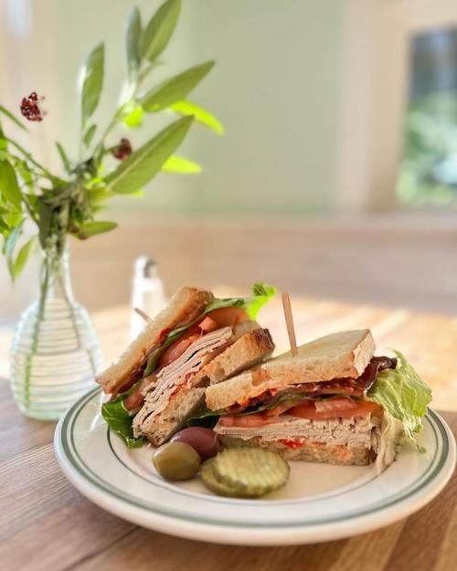 A stacked sandwich with turkey, lettuce, and tomato, served with pickles and olives, beside a vase of greenery.