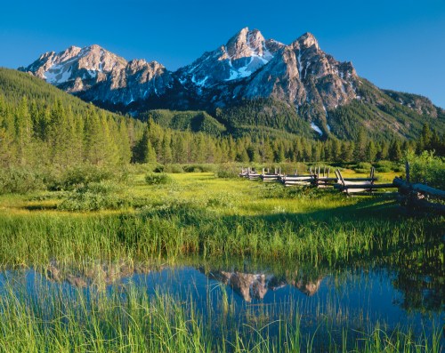 A serene landscape featuring snow-capped mountains, lush green meadows, and a reflective pond under a clear blue sky.