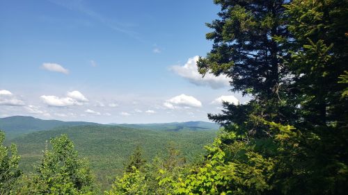 A scenic view of rolling green hills under a blue sky with fluffy clouds, framed by trees on the right.