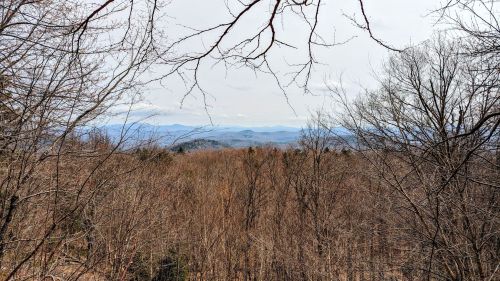 A panoramic view of a mountainous landscape with bare trees in the foreground and distant hills under a cloudy sky.