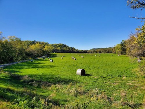A sunny green field with round hay bales scattered across it, surrounded by trees and a clear blue sky.