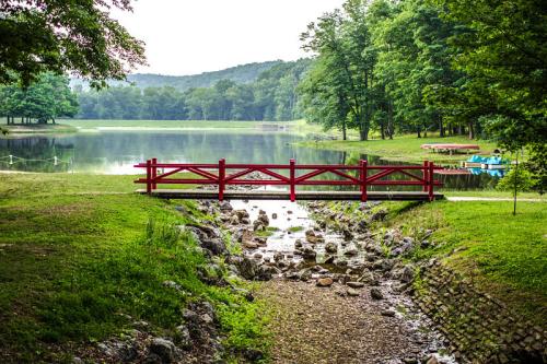 A red wooden bridge spans a small stream leading to a serene lake surrounded by lush green trees.