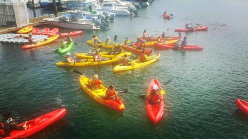 A vibrant scene of kayakers in red, yellow, and green kayaks paddling on a calm waterway near a marina.