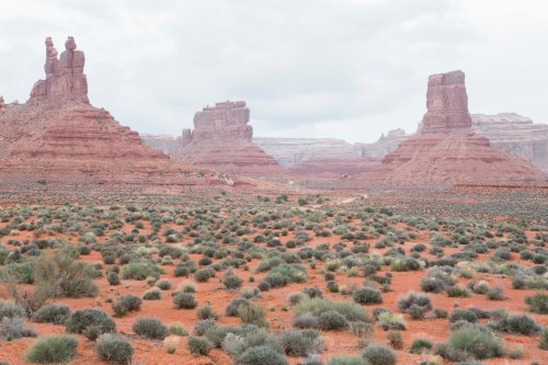 A desert landscape featuring red rock formations and sparse vegetation under a cloudy sky.