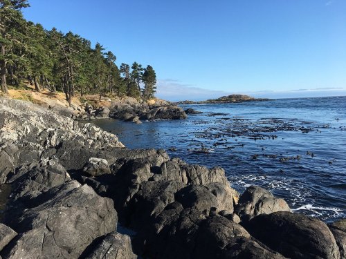 A rocky coastline with trees, calm blue water, and a clear sky, creating a serene natural landscape.