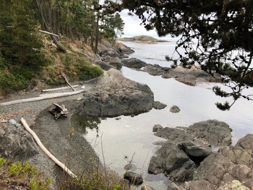 A serene coastal scene with rocky shores, calm water, and trees framing the view.