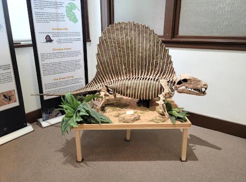 A skeletal model of a prehistoric creature displayed on a wooden stand, surrounded by artificial plants.