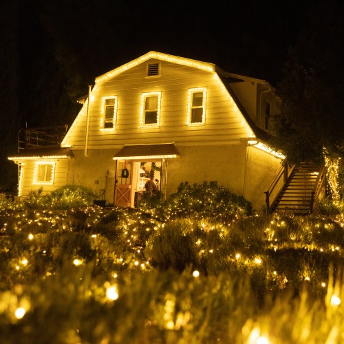 A warmly lit house adorned with string lights, surrounded by glowing bushes, creating a cozy nighttime atmosphere.