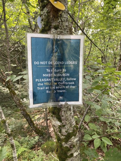 Sign on a tree warning against descending ledges, with directions to return to Mass Audubon Pleasant Valley via the yellow trail.