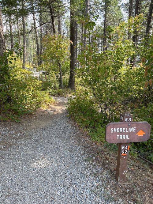 A gravel path leads into a forest, with a sign pointing to the Shoreline Trail amidst greenery.