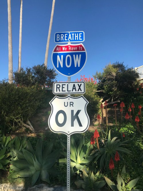 A colorful street sign with messages: "Breathe," "All we have is NOW," "Relax," and "UR OK," surrounded by greenery.