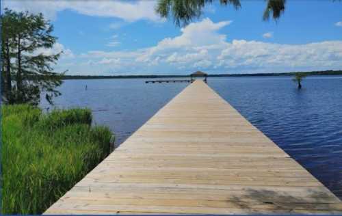 A wooden dock extends into a calm lake, surrounded by green grass and trees under a blue sky with fluffy clouds.