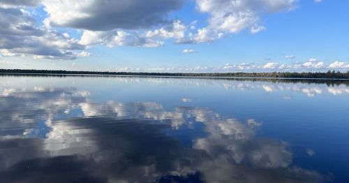 A serene lake reflecting fluffy clouds and a blue sky, surrounded by trees on the horizon.