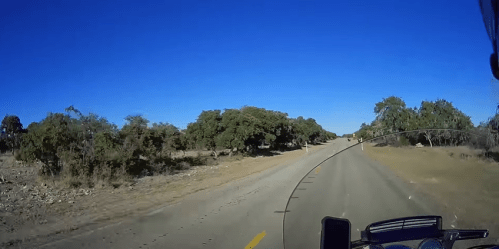 A motorcycle view of a winding road surrounded by trees under a clear blue sky.