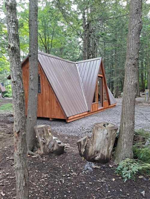 A modern wooden cabin with a unique angled roof, surrounded by trees and stumps in a forested area.