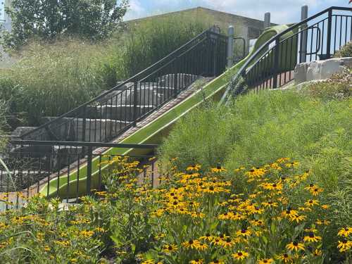 A green slide on a hillside surrounded by tall grass and vibrant yellow flowers under a clear blue sky.