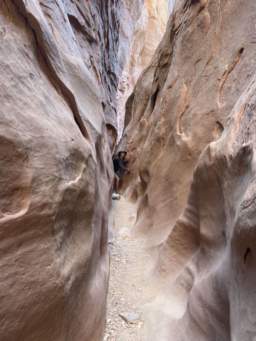 A narrow canyon with towering rock walls and a person standing in the distance, surrounded by smooth, colorful stone.