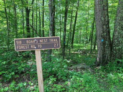 A wooden trail sign for Boar's Nest Trail, indicating a distance of 2.7 miles, surrounded by lush green forest.