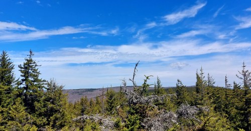 A scenic view of a forested landscape under a blue sky with wispy clouds and distant mountains.