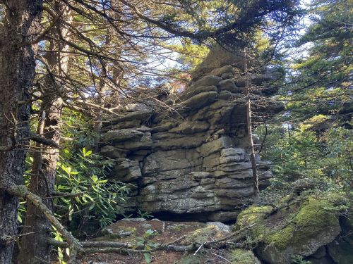 A large rock formation surrounded by trees and greenery in a forested area. Sunlight filters through the branches.