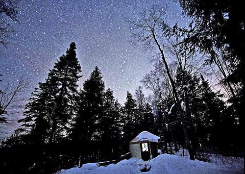 A snowy landscape at night with a small cabin surrounded by tall trees and a starry sky.