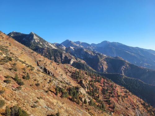 Scenic mountain landscape with autumn foliage under a clear blue sky.