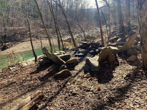 A serene forest scene with rocks and a river, surrounded by trees and fallen leaves under soft sunlight.