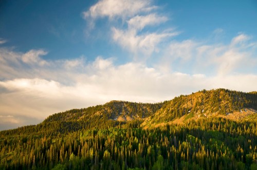 A scenic view of mountains covered in lush green trees under a blue sky with wispy clouds.