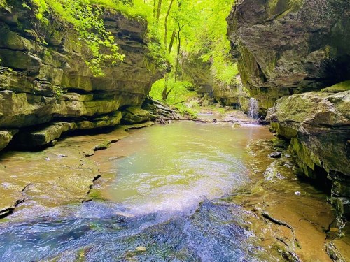 A serene creek flows through a lush, green canyon with rocky walls and sunlight filtering through the trees above.