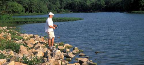 A person stands on rocky shore, fishing by a calm lake surrounded by greenery and trees.
